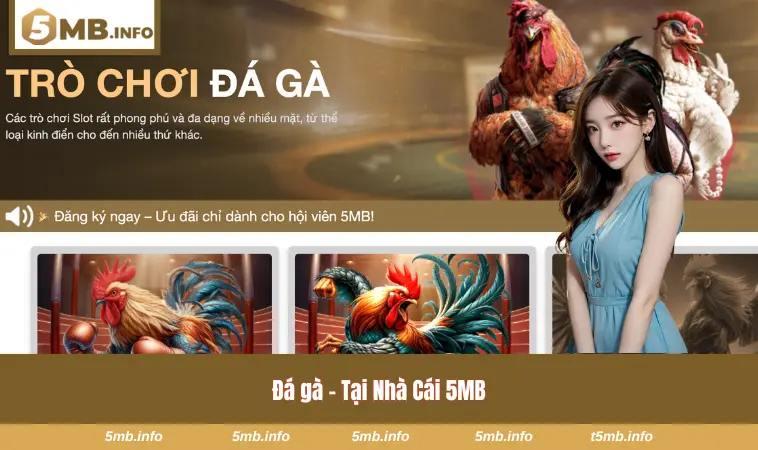 Hệ sinh thái game đa dạng và đặc sắc