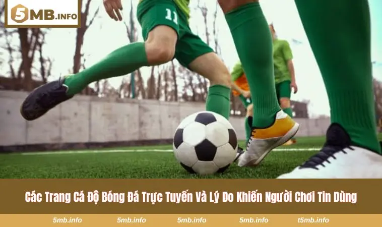 Các Trang Cá Độ Bóng Đá Trực Tuyến Và Tiêu Chí Chọn Nền Tảng 1 Hệ thống giao diện trực tuyến hiện đại trên nền tảng cá cược