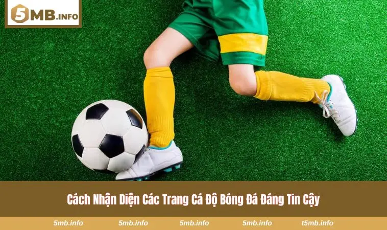 Các Trang Cá Độ Bóng Đá Trực Tuyến Và Tiêu Chí Chọn Nền Tảng 2 Tốc độ xử lý cược trong thời gian thực của nhà cái