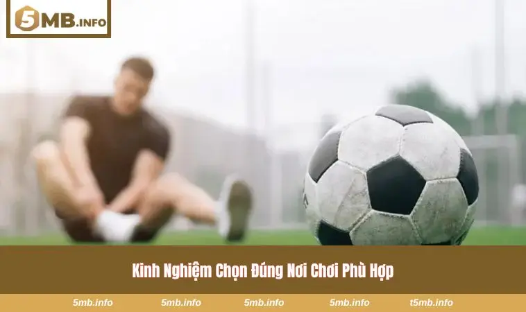 Các Trang Cá Độ Bóng Đá Trực Tuyến Và Tiêu Chí Chọn Nền Tảng 3 Mẫu giấy phép hoạt động của tổ chức quốc tế