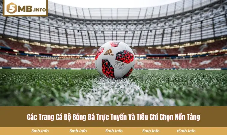 Các trang cá độ bóng đá trực tuyến