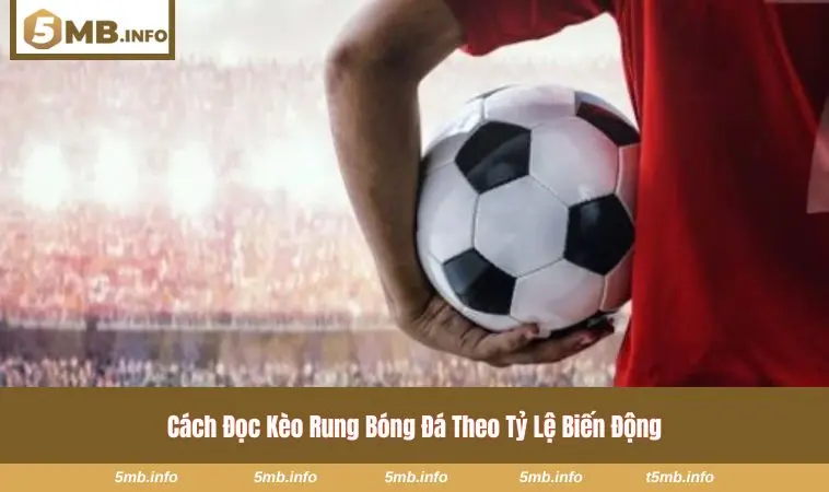 Cách Đọc Kèo Rung Bóng Đá - Công Thức Theo Dõi Biến Động Kèo 1 Dựa vào nhịp thay đổi để phán đoán cửa lợi