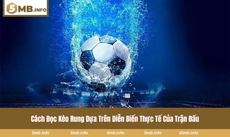 Cách Đọc Kèo Rung Bóng Đá - Công Thức Theo Dõi Biến Động Kèo 2 Thời điểm người chơi nhận biết kèo đẹp và tránh bẫy rung