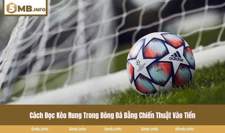 Cách Đọc Kèo Rung Bóng Đá - Công Thức Theo Dõi Biến Động Kèo 3 Tìm kiếm thời điểm vào kèo phù hợp tình huống trên sân