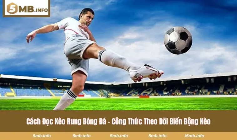 cách đọc kèo rung bóng đá