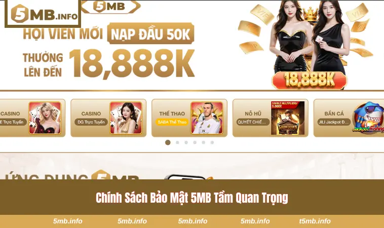 Chính Sách Bảo Mật 5MB 1 Lợi ích đặc biệt của chính sách bảo mật tại nhà cái 5MB
