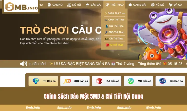 Chính Sách Bảo Mật 5MB 2 Nội dung chi tiết trong chính sách bảo vệ thông tin 5MB