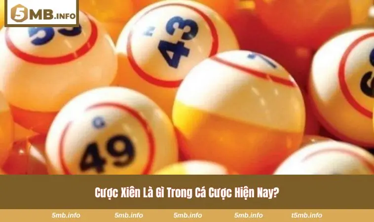 Cược Xiên Là Gì - Kiến Thức Nền Tảng Để Chơi Thông Minh 1 Phân tích khái niệm cược xiên dành cho bạn mới