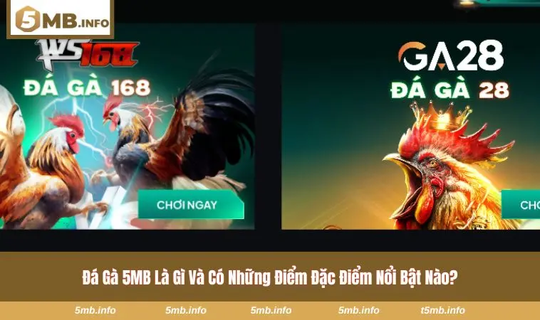 Khung cảnh livestream chiến kê trong trận đấu trực tuyến