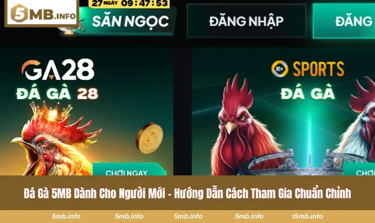 Trọng tài kiểm tra chiến kê trước khi bắt đầu trận đấu