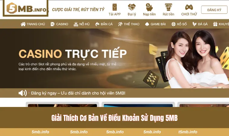 Điều Khoản Sử Dụng 5MB 1 Giải mã lý do vì sao điều khoản sử dung 5MB lại ra đời