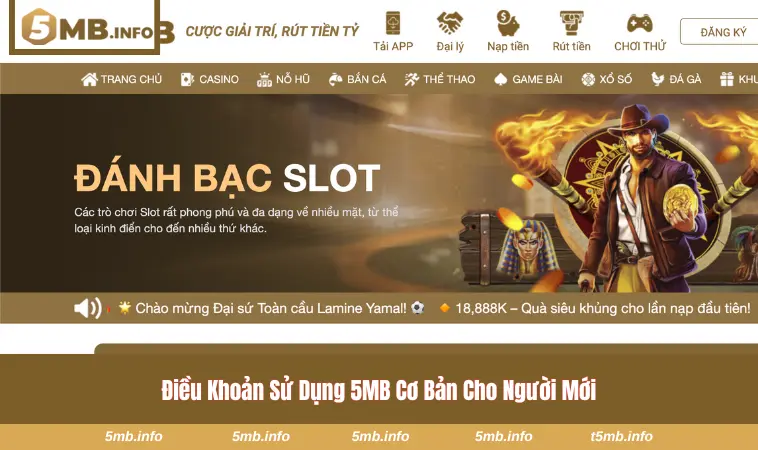Điều Khoản Sử Dụng 5MB 2 Bộ quy định cơ bản tại 5MB cho người mới