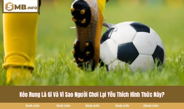 Kèo Rung Và Những Bí Quyết Đọc Kèo Chuẩn Ngay Thời Gian Thực 1 Giao diện theo dõi kèo trực tiếp trên nền tảng