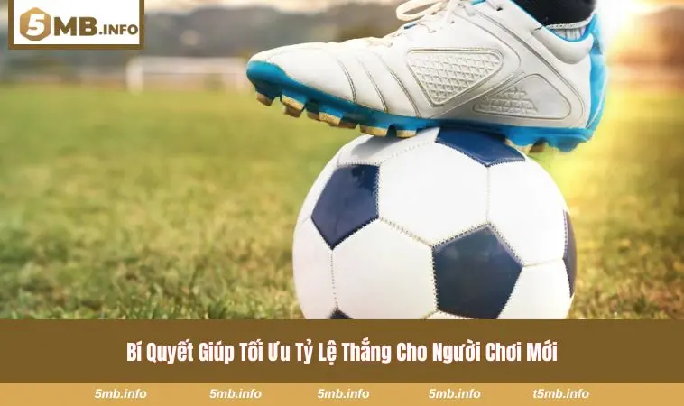 Kèo Rung Và Những Bí Quyết Đọc Kèo Chuẩn Ngay Thời Gian Thực 3 Điều kiện trực quan ảnh hưởng tới kèo bóng đá