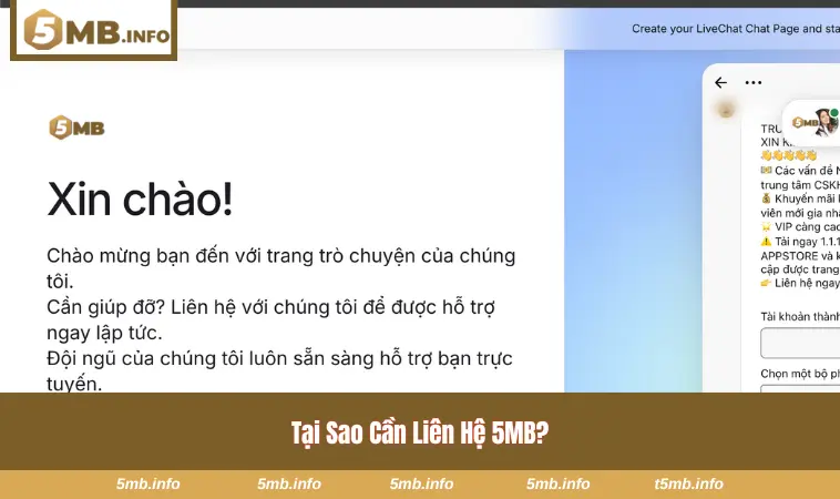 Lý do cần liên hệ 5MB ngay