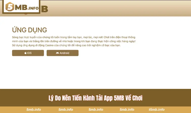 Vì sao nên tải app 5MB về di động?