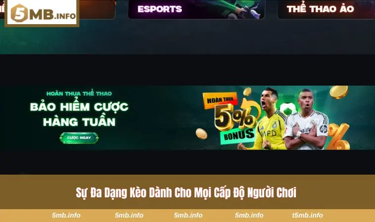 Cập nhật tỷ lệ thể thao liên tục tại nhà cái 