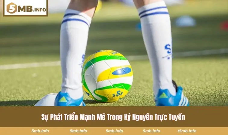 Trang Cá Độ Bóng Đá Và Hướng Dẫn Chọn Nền Tảng Cho Người Mới 1 Giao diện nền tảng cá cược bóng đá hỗ trợ người dùng