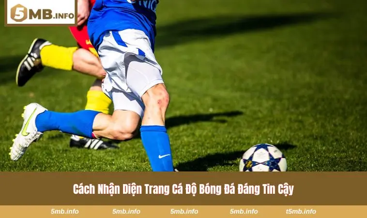 Trang Cá Độ Bóng Đá Và Hướng Dẫn Chọn Nền Tảng Cho Người Mới 2 Tốc độ cập nhật kèo trong thực tế trên nền tảng 5MB