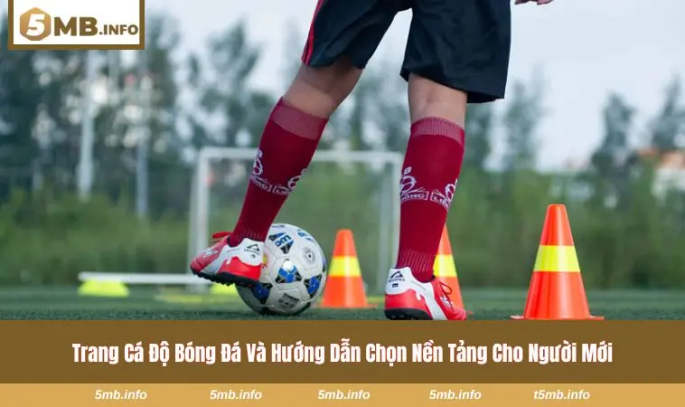 Trang cá độ bóng đá